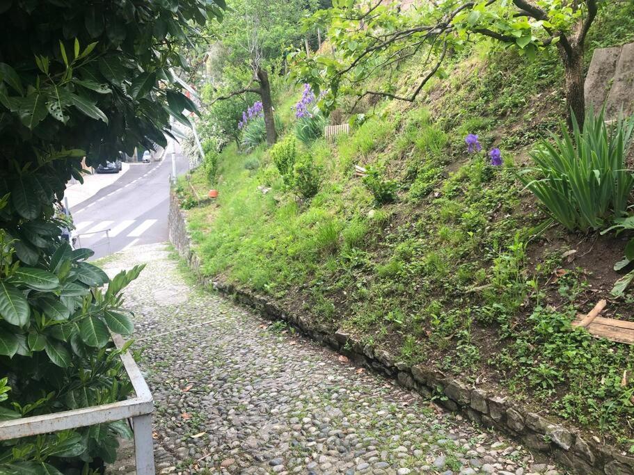 Oria Casa Orchideaアパートメント エクステリア 写真